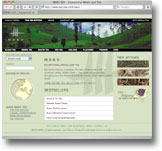 Picture of Meru Tea web site.
