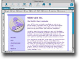 Picture of Slam-Lam web site.